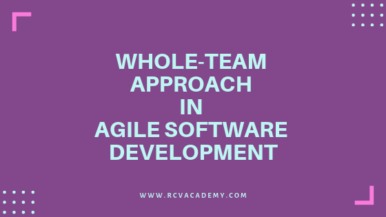 Whole-Team Approach in Agile Software Development